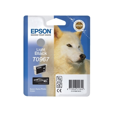 Оригинальный струйный картридж EPSON C13T09674010