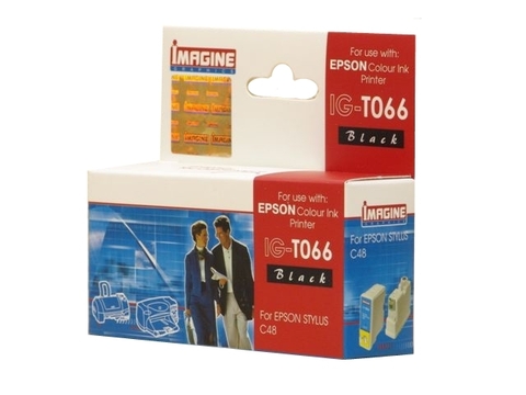 Совместимый струйный картридж IMAGINE GRAPHICS IG-T066