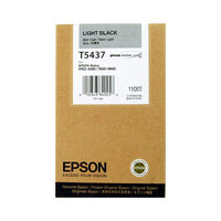 EPSON C13T543700