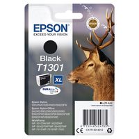 Оригинальный струйный картридж EPSON C13T13014012