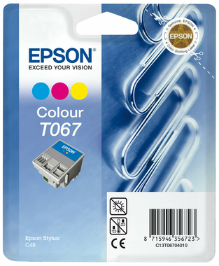 EPSON C13T06704010